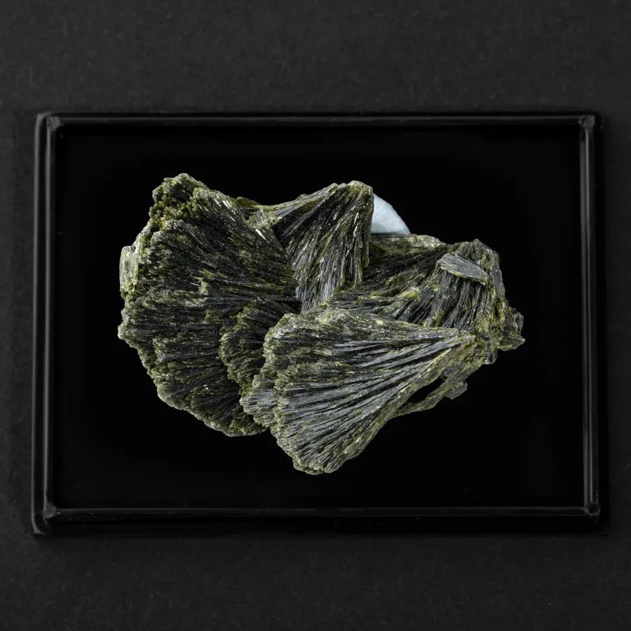 Epidote 30-60mm Specimen - Limited Editions