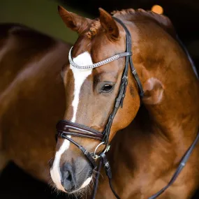 Lumiere Amie Rolled Leather Bridle